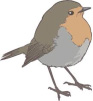 robin