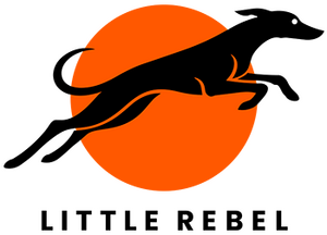 logo-lr-small